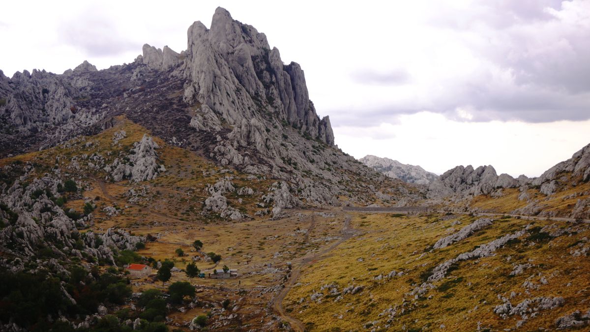 Tulove grede Tulove grede