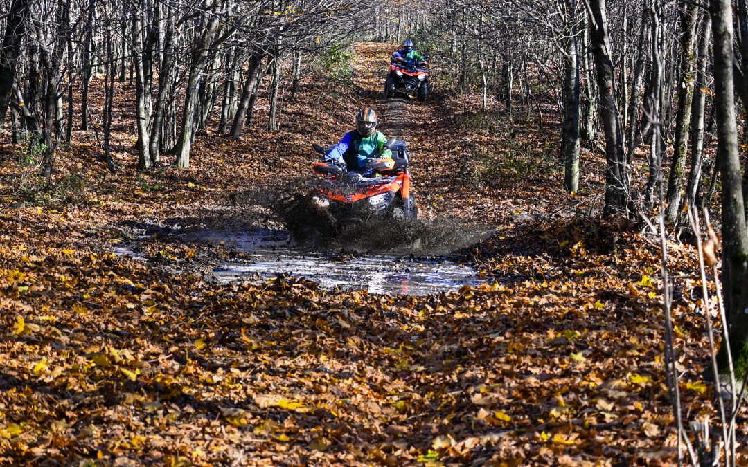 Papuk Quad Avantura