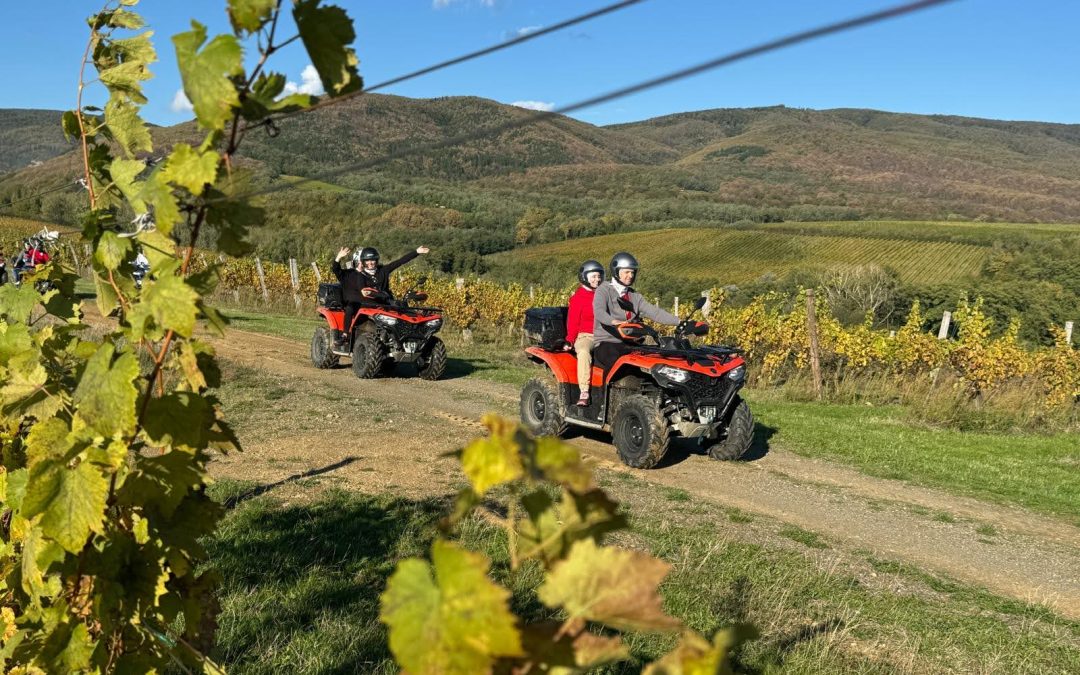 Papučki Team Building